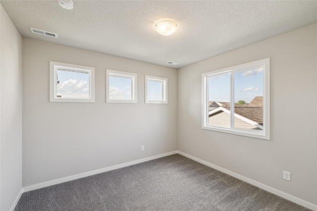 805 3rd St NW, Bondurant, IA 50035 - spare room with carpet flooring and a textured ceiling