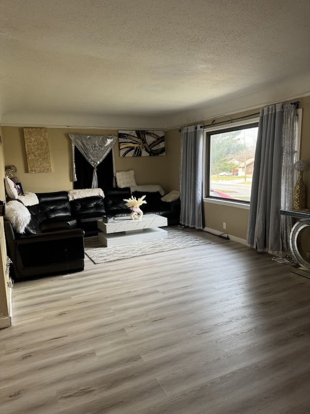 living room featuring hardwood / wood-style floors and a textured ceiling