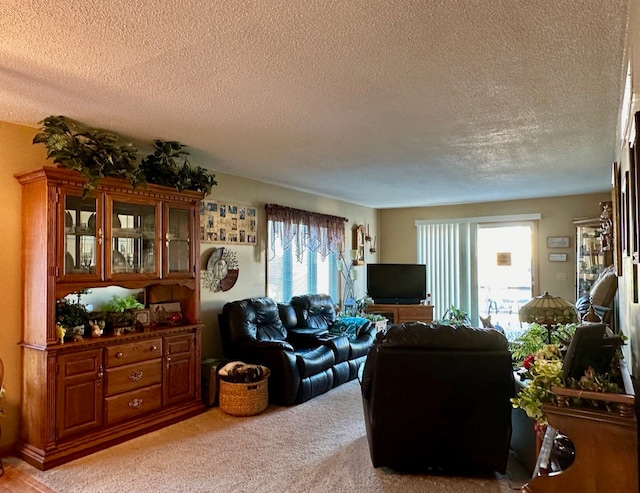 living room with a textured ceiling, light colored carpet, and plenty of natural light