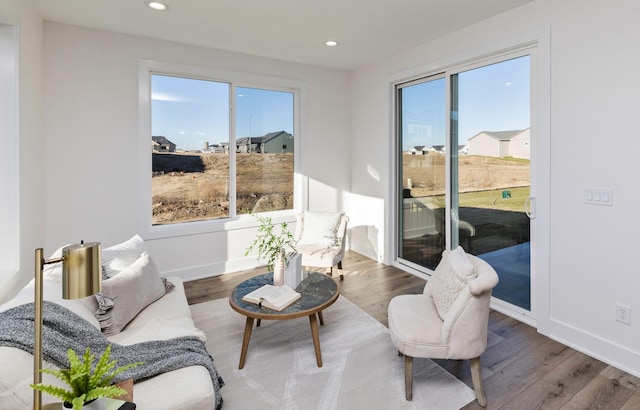 interior space featuring a wealth of natural light and hardwood / wood-style floors