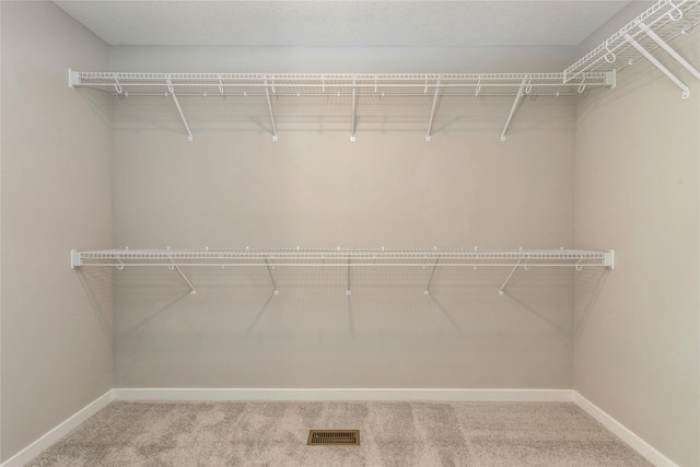 walk in closet featuring carpet floors