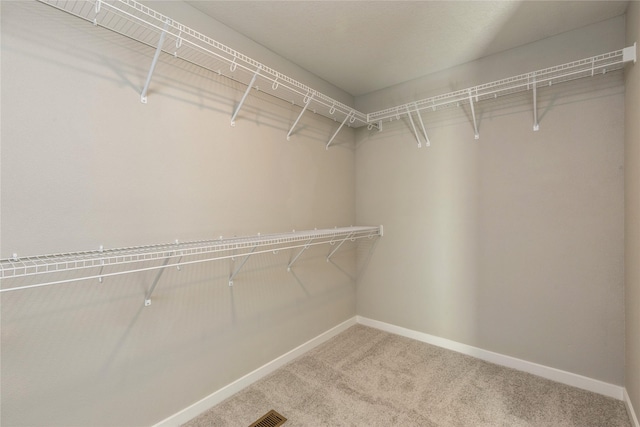 spacious closet featuring carpet floors