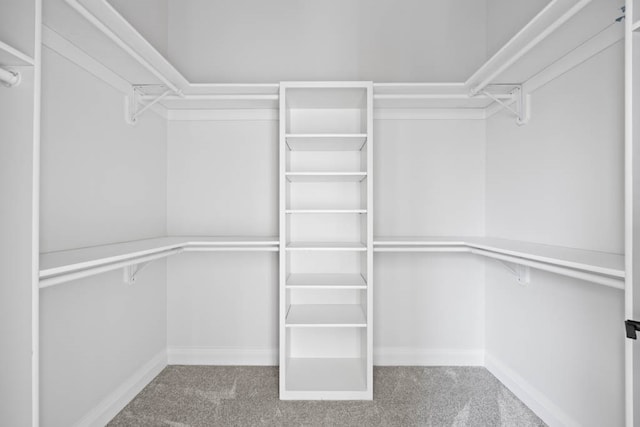 spacious closet with carpet floors