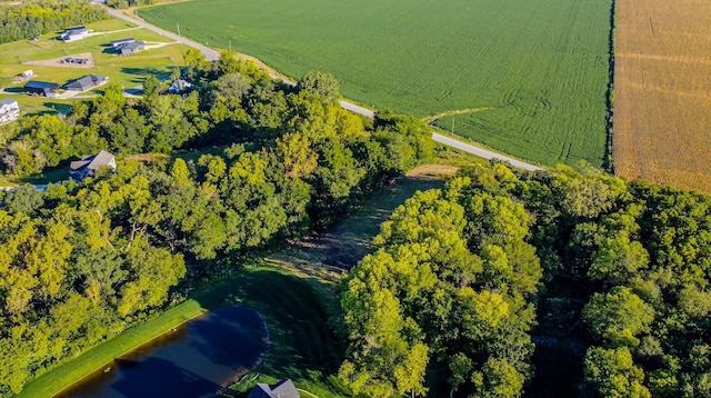 9793 NE Santiago Dr, Bondurant, IA 50035