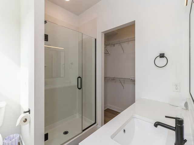 bathroom featuring a spacious closet, a shower stall, and vanity