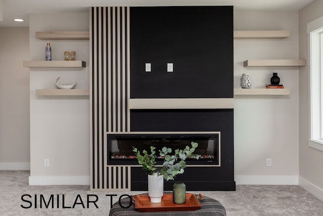 room details featuring carpet floors