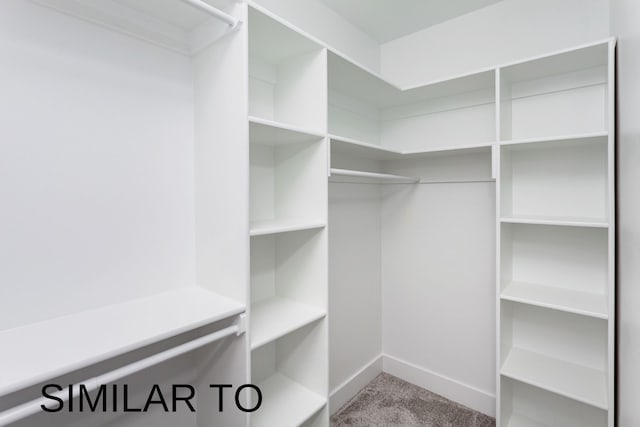 spacious closet with light carpet