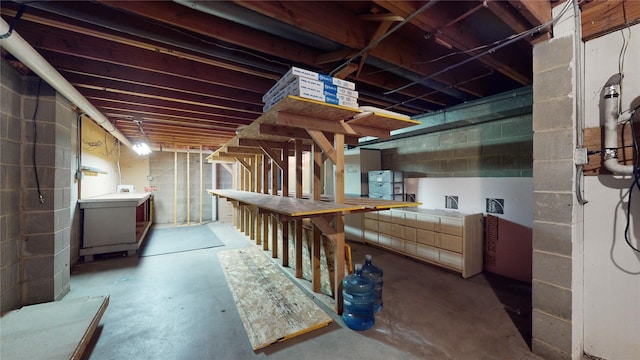 unfinished basement featuring concrete block wall