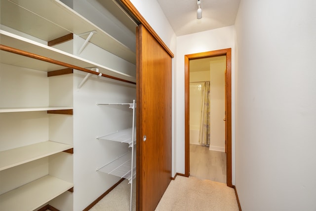 walk in closet featuring hardwood / wood-style flooring