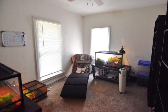 sitting room featuring carpet flooring and ceiling fan