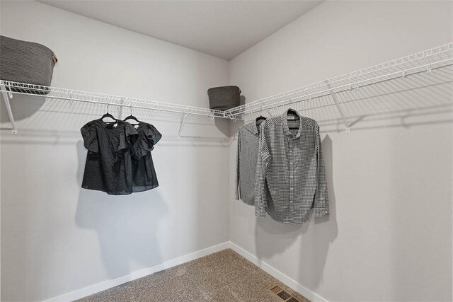 spacious closet featuring carpet floors