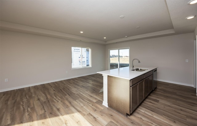 kitchen with sink, light hardwood / wood-style floors, an island with sink, and a raised ceiling