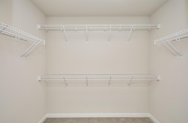 spacious closet with carpet flooring