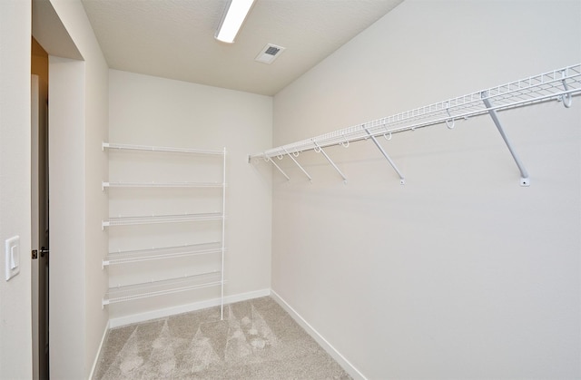 spacious closet featuring light colored carpet