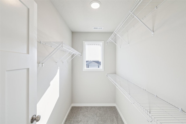 spacious closet with carpet