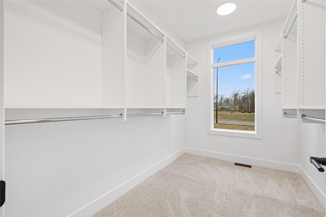 spacious closet with light carpet