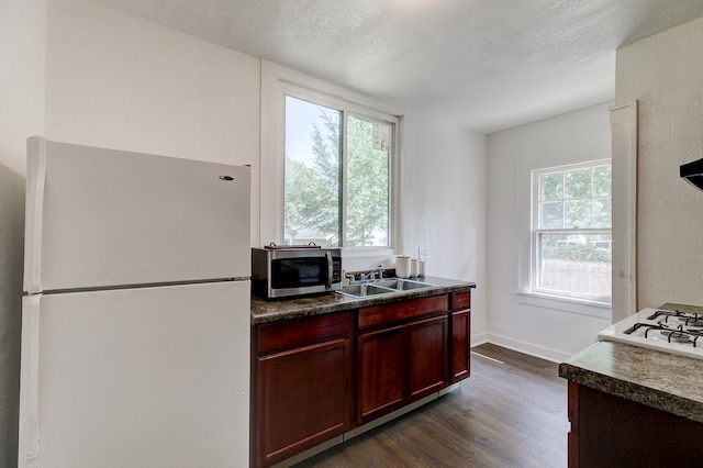 kitchen with dark hardwood / wood-style floors, a healthy amount of sunlight, sink, and white fridge