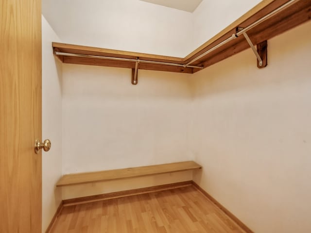 spacious closet with light wood-type flooring