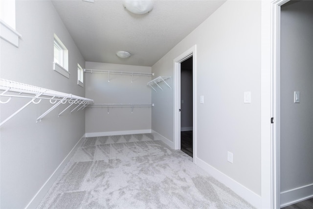 walk in closet featuring light carpet