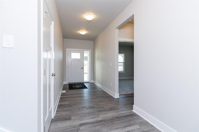 entrance foyer with dark hardwood / wood-style floors