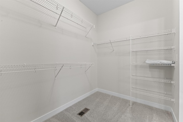 spacious closet featuring carpet floors