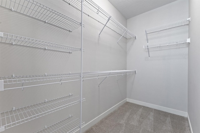 walk in closet with carpet