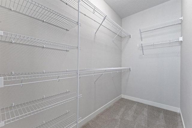 1028 2nd St NE, Altoona, IA 50009 - spacious closet with carpet