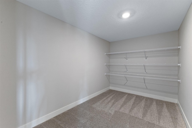 spacious closet with carpet floors