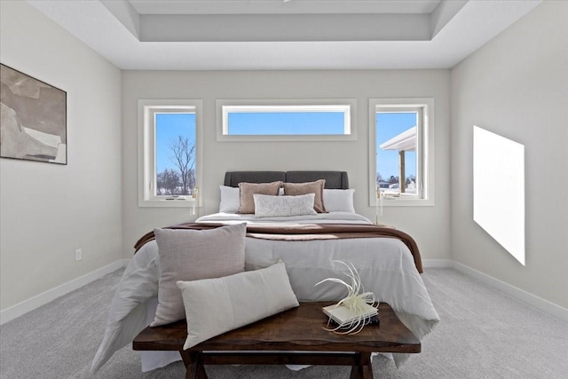 carpeted bedroom featuring a raised ceiling