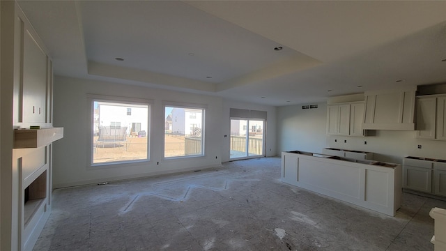 kitchen with white cabinetry, custom range hood, and a raised ceiling