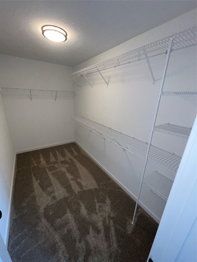 spacious closet featuring dark colored carpet