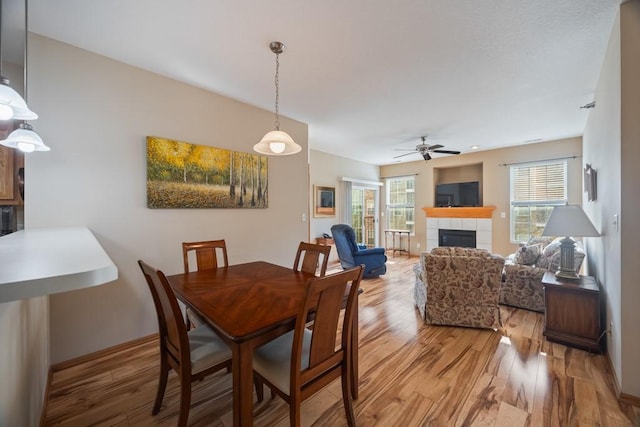 dining space featuring light wood finished floors, ceiling fan, and a fireplace