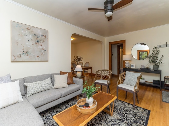 living room with ornamental molding, hardwood / wood-style floors, and ceiling fan