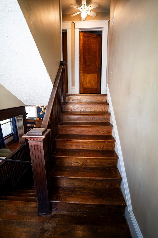 staircase with ceiling fan and hardwood / wood-style flooring