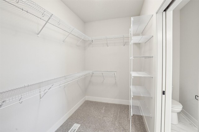 view of walk in closet