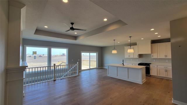 kitchen with hardwood / wood-style floors, a tray ceiling, decorative backsplash, white cabinets, and stainless steel gas stove