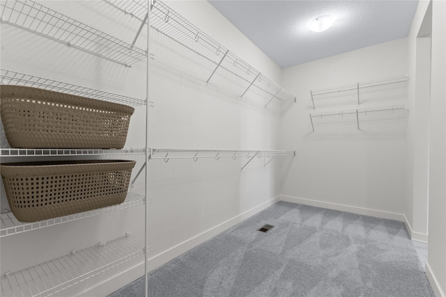 spacious closet featuring carpet flooring