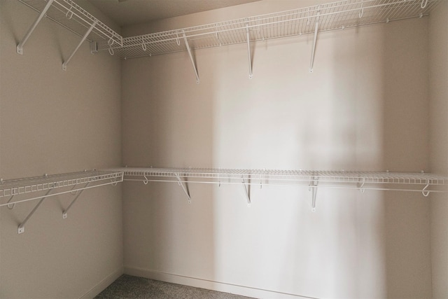 spacious closet with carpet floors