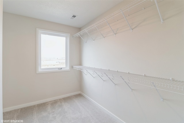 walk in closet featuring carpet