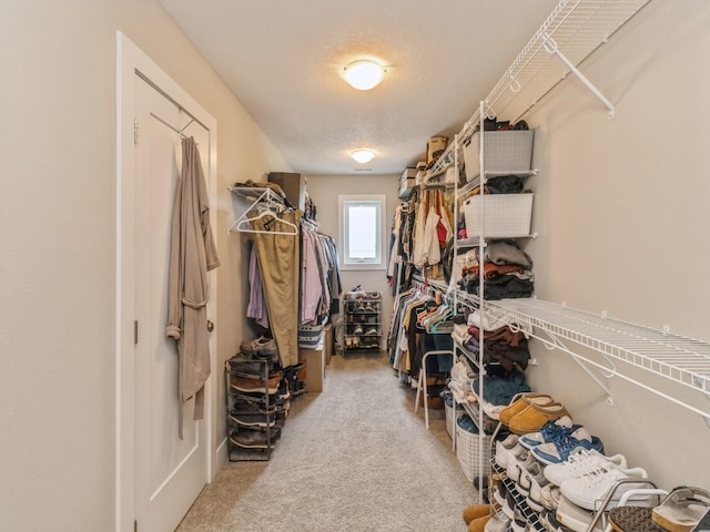 1401 S 10th St, Adel, IA 50003 - walk in closet featuring carpet flooring