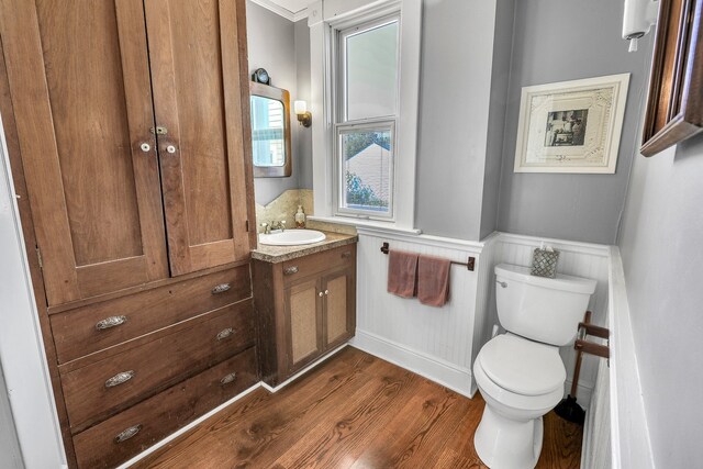 bathroom featuring vanity, toilet, and wood-type flooring