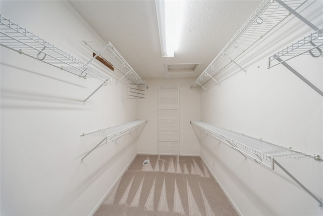 spacious closet featuring light colored carpet