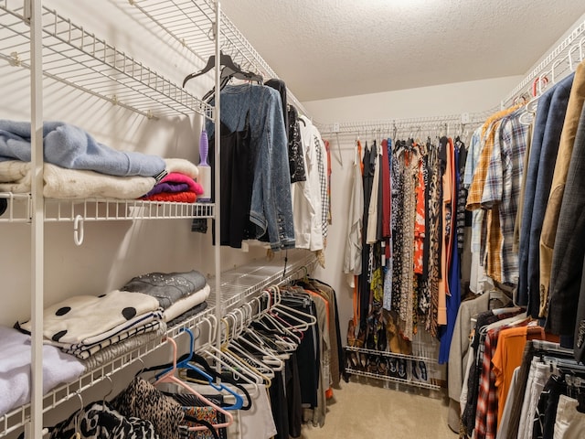 spacious closet featuring carpet