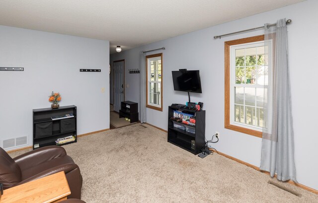 view of carpeted living room