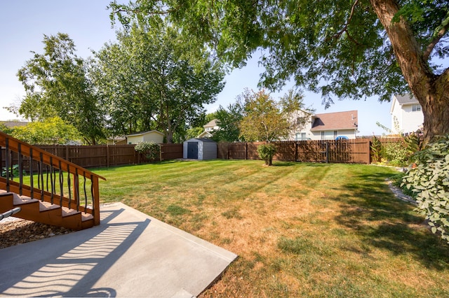 view of yard with a storage shed