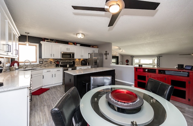 kitchen featuring a healthy amount of sunlight, a center island, ceiling fan, and stainless steel appliances