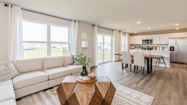 living room featuring light hardwood / wood-style floors and a wealth of natural light