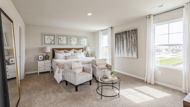 bedroom with carpet and multiple windows