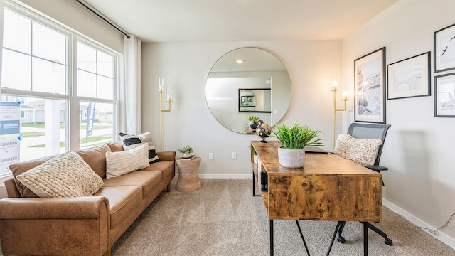 office featuring plenty of natural light and light colored carpet