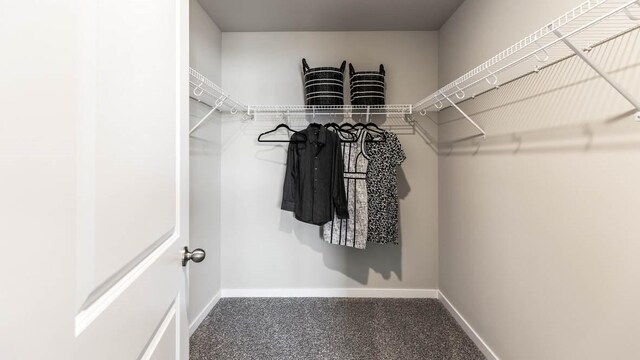 walk in closet featuring carpet floors